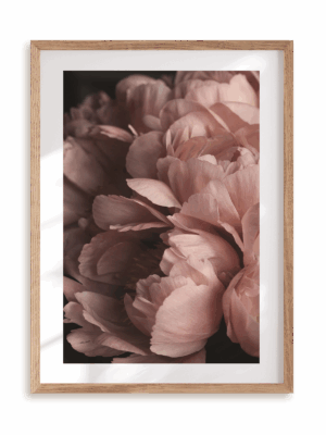 Plakat Kwiatowy światłocień w ramie drewnianej
