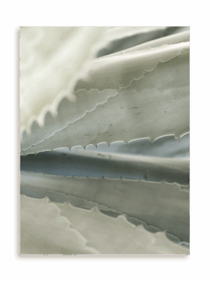 Plakat Ostra finezja bez ramy