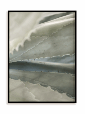 Plakat Ostra finezja w ramie aluminiowej