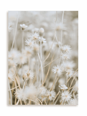 Plakat Łąkowa subtelność bez ramy