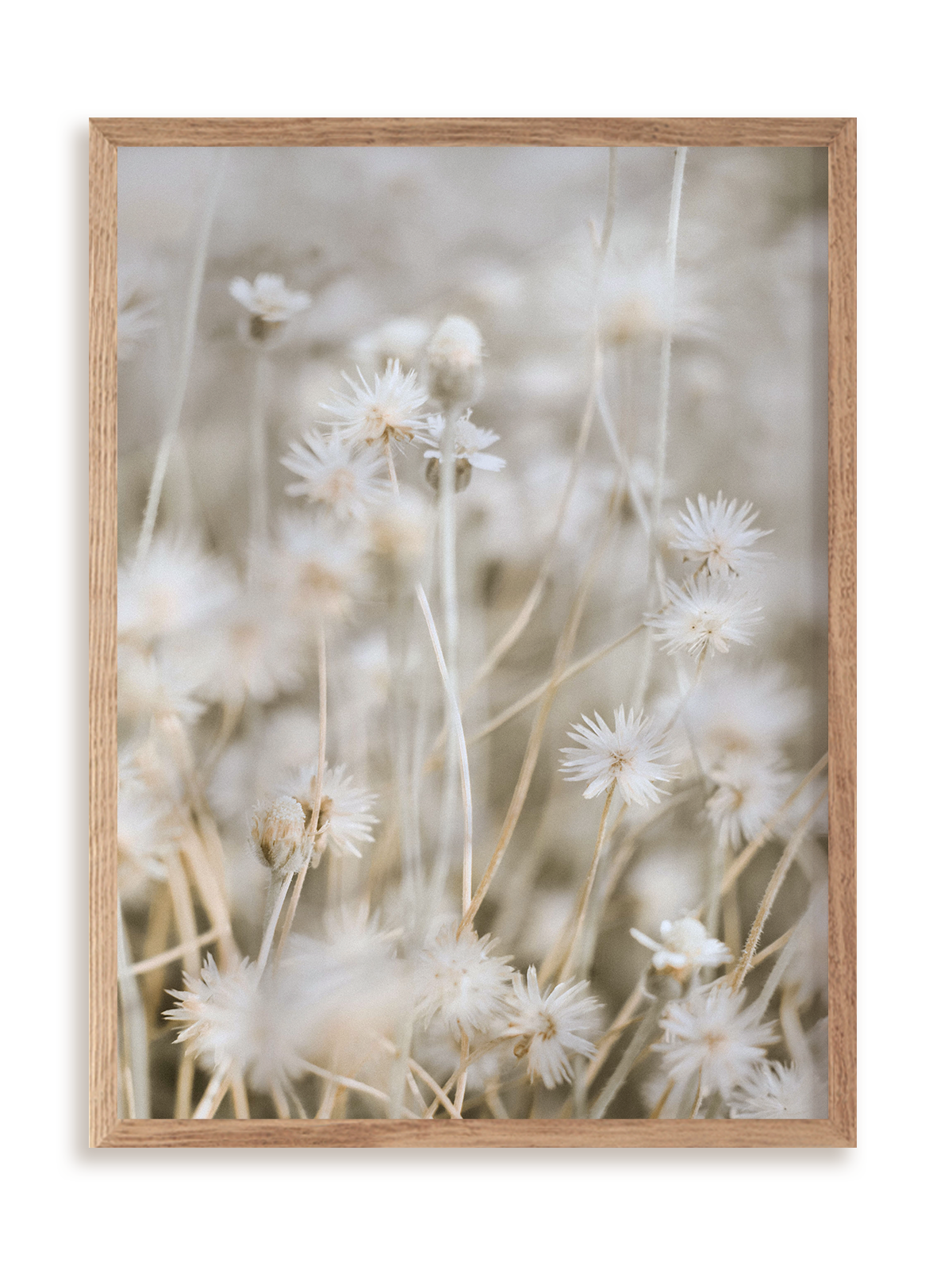 Plakat Łąkowa subtelność w ramie drewnianej