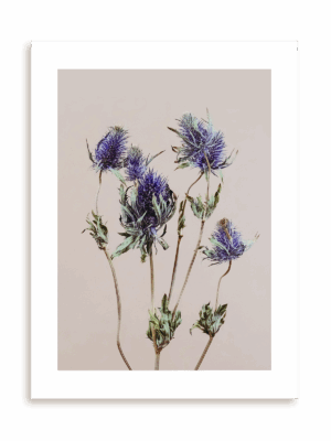 Plakat Z zielnika bez ramy