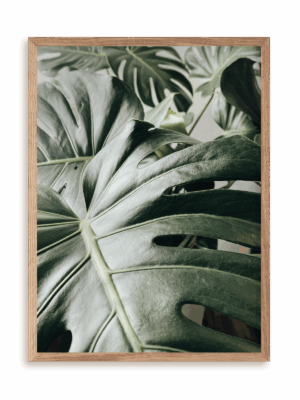 Plakat Kolejna monstera w ramie drewnianej