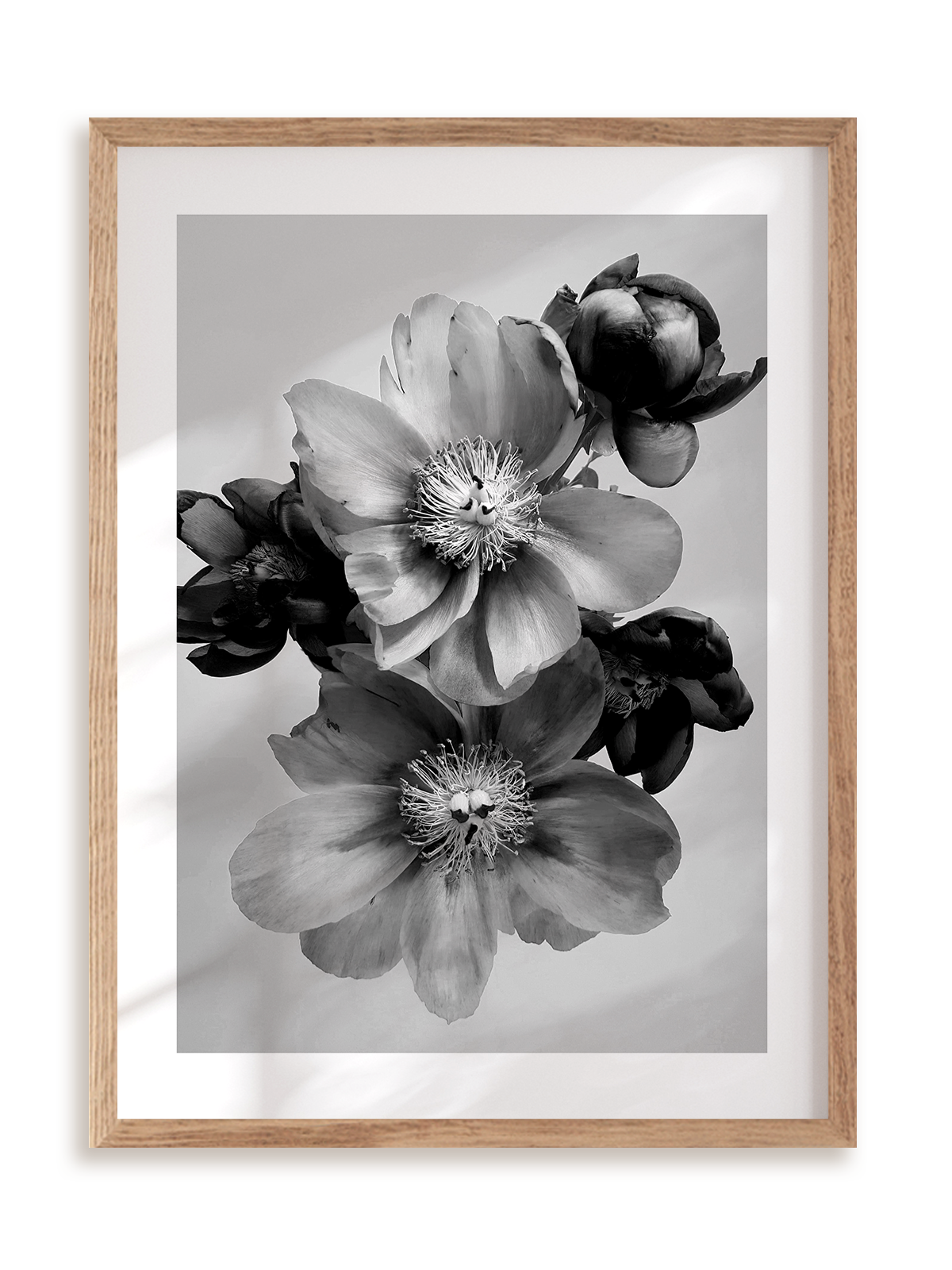 Plakat Kwiaty w monochromie III w ramie drewnianej