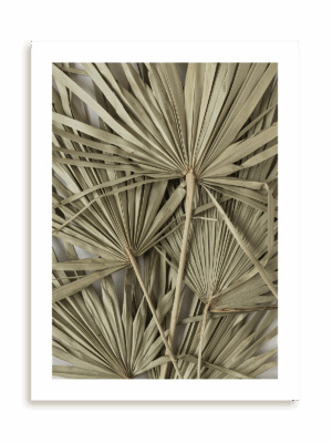 Plakat Roślinna zasłona bez ramy