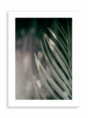 Plakat Botaniczna połowa bez ramy