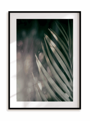 Plakat Botaniczna połowa w ramie aluminiowej