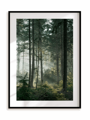 Plakat W środku lasu w ramie aluminiowej