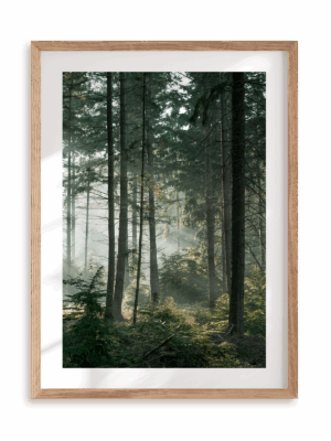 Plakat W środku lasu w ramie drewnianej