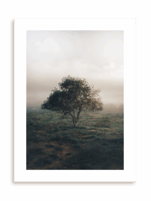 Plakat Drzewo życzeń bez ramy