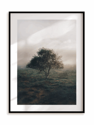 Plakat Drzewo życzeń w ramie aluminiowej