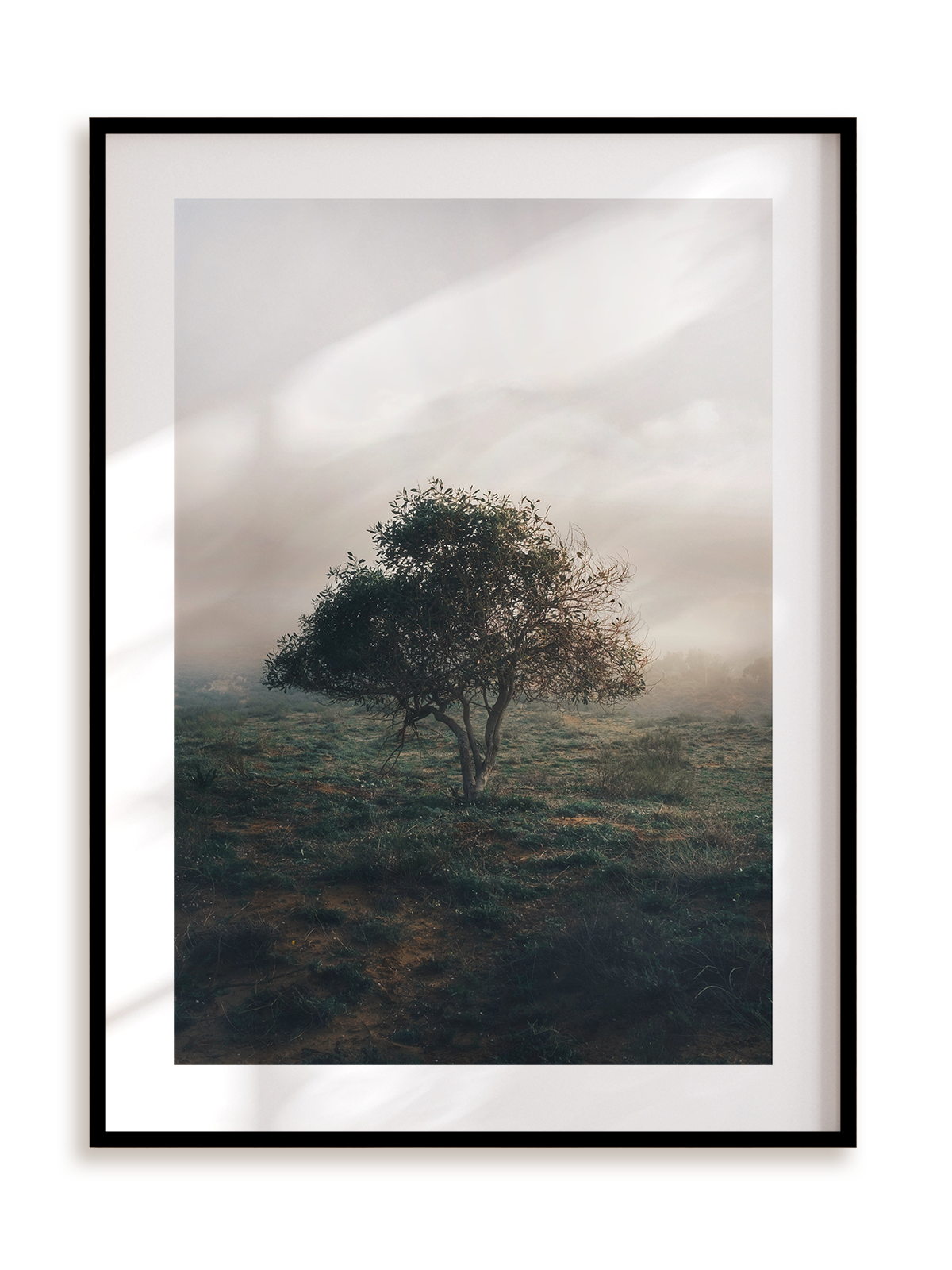 Plakat Drzewo życzeń w ramie aluminiowej