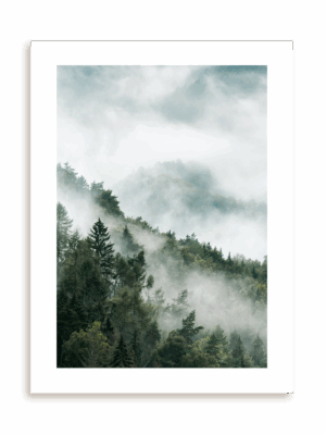 Plakat Mgła w lesie bez ramy