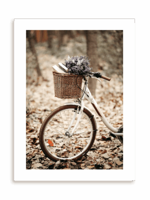 Plakat Wycieczka rowerowa bez ramy