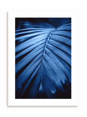 Plakat Blue palm bez ramy