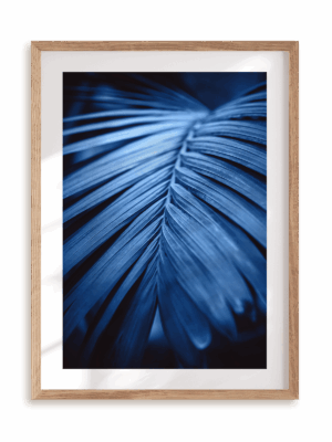 Plakat Blue palm w ramie drewnianej