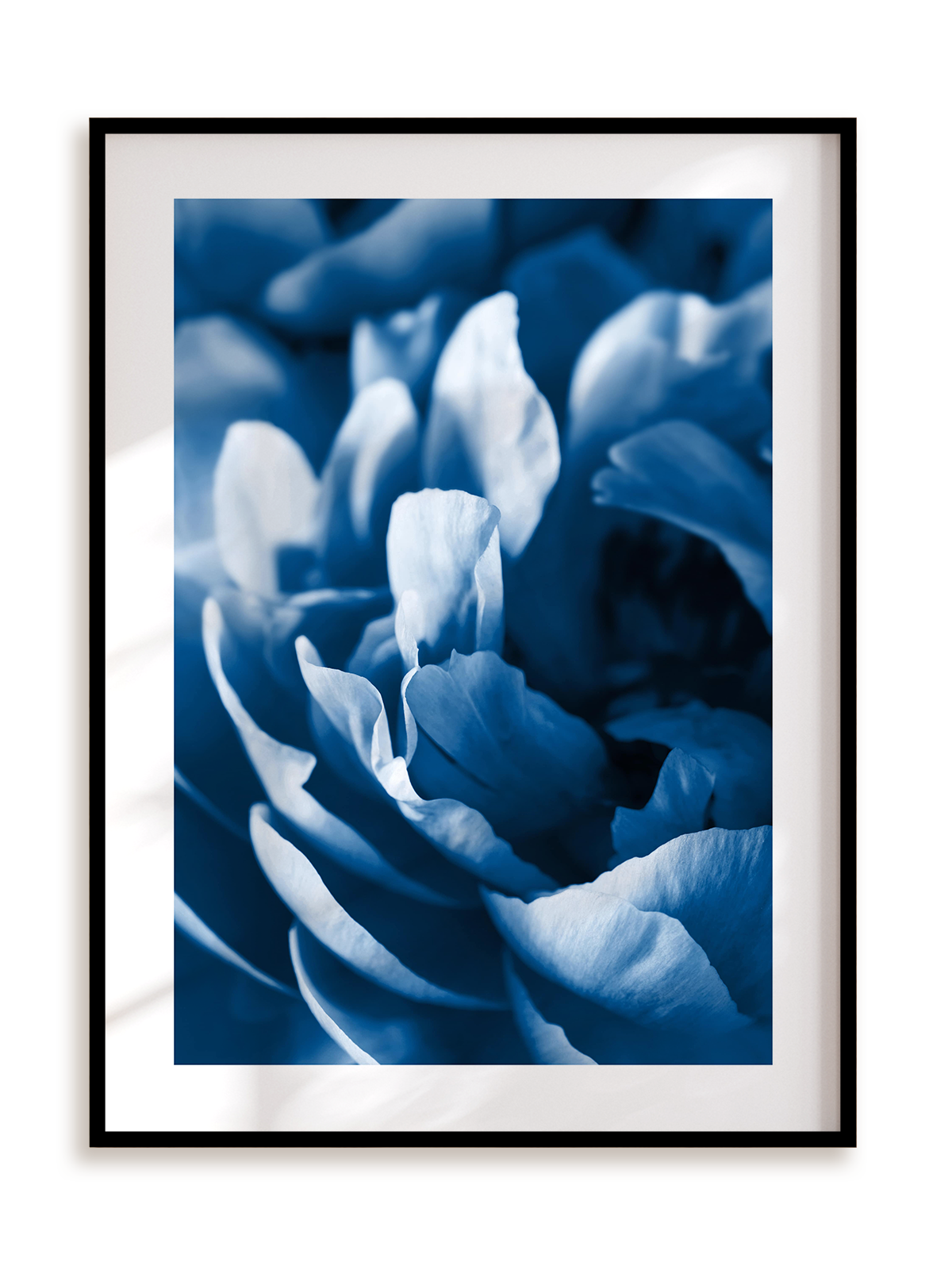 Plakat Blue petals w ramie aluminiowej