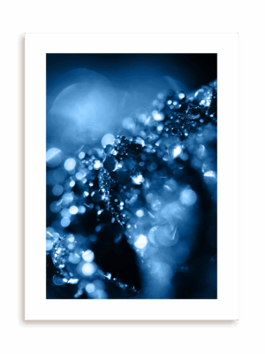 Plakat Blue drops bez ramy