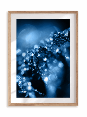 Plakat Blue drops w ramie drewnianej