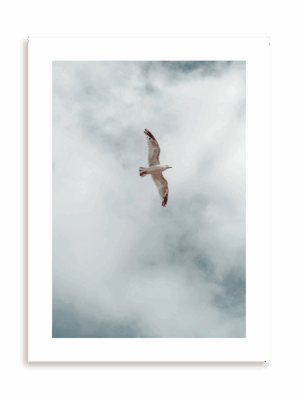 Plakat Rozwiń skrzydła bez ramy