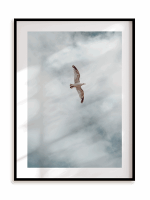 Plakat Rozwiń skrzydła w ramie aluminiowej