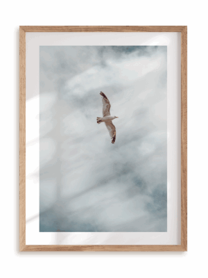 Plakat Rozwiń skrzydła w ramie drewnianej