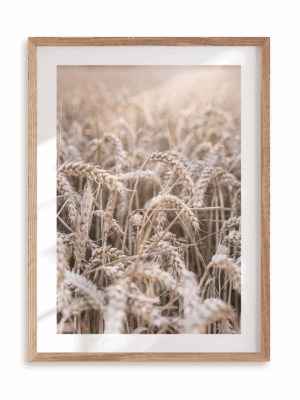 Plakat W pszenicy w ramie drewnianej