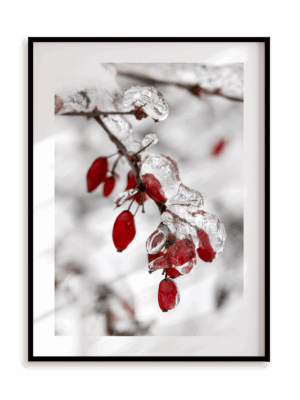 Plakat Zamarznięta gałązka w ramie aluminiowej