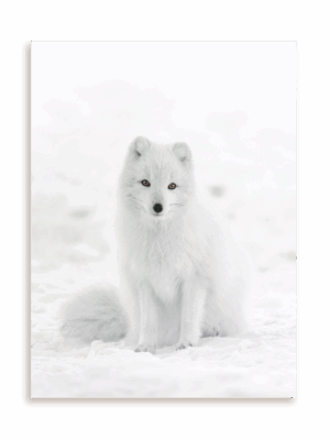 Plakat Śnieżny kamuflaż bez ramy