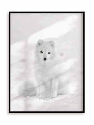 Plakat Śnieżny kamuflaż w ramie aluminiowej