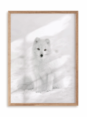 Plakat Śnieżny kamuflaż w ramie drewnianej