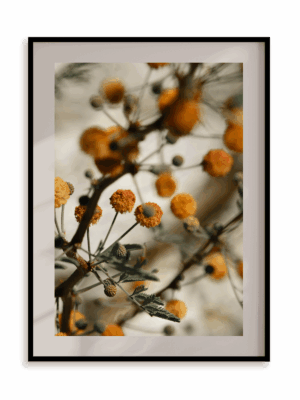 Plakat Pomarańczowe kuleczki w ramie aluminiowej