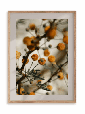 Plakat Pomarańczowe kuleczki w ramie drewnianej