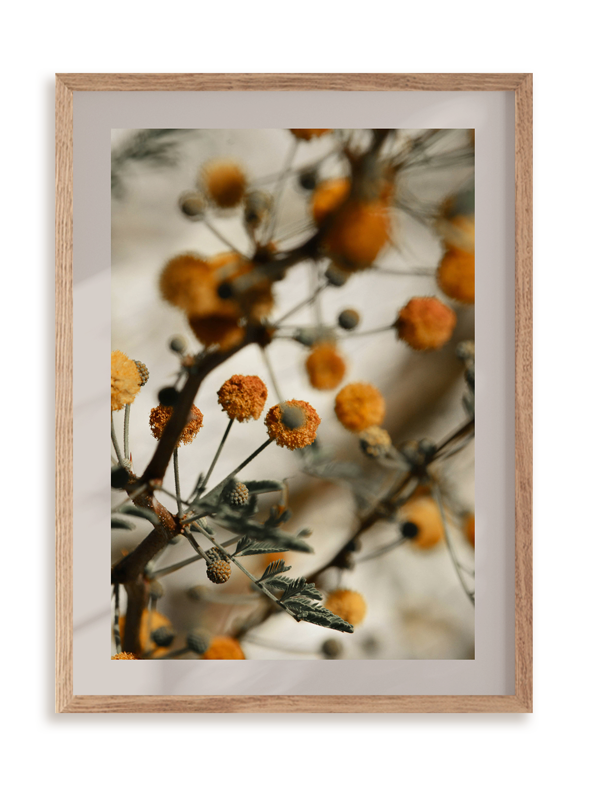 Plakat Pomarańczowe kuleczki w ramie drewnianej