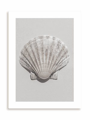 Plakat Muszla bez ramy