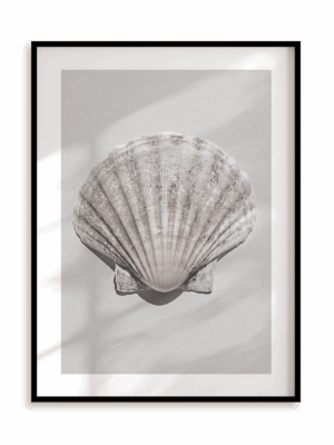 Plakat Muszla w ramie aluminiowej