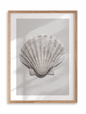 Plakat Muszla w ramie drewnianej