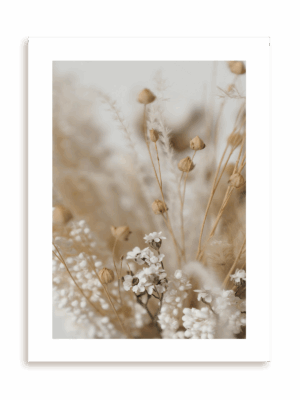 Plakat Bukiet suszu bez ramy