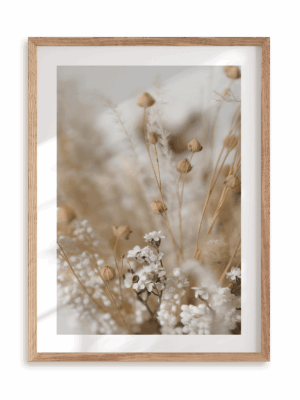 Plakat Bukiet suszu w ramie drewnianej