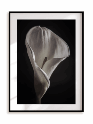 Plakat Kwiatowy kielich w ramie aluminiowej