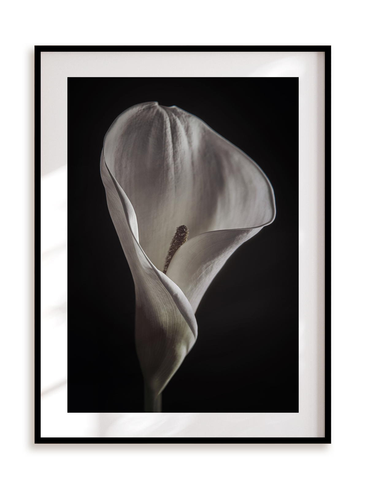 Plakat Kwiatowy kielich w ramie aluminiowej