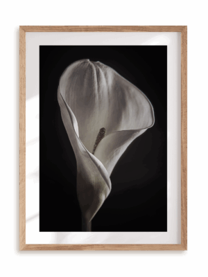 Plakat Kwiatowy kielich w ramie drewnianej