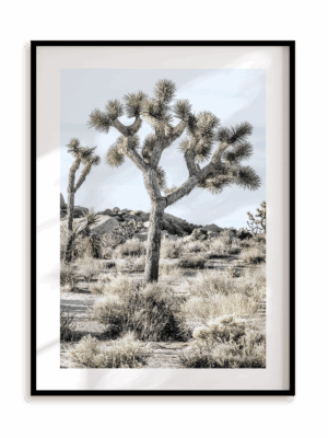 Plakat Joshua Tree w ramie aluminiowej
