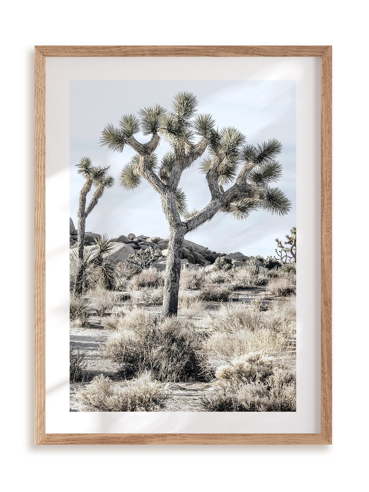 Plakat Joshua Tree w ramie drewnianej
