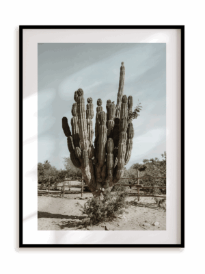 Plakat Na pustyni w ramie aluminiowej
