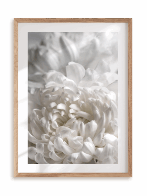 Plakat Biała dalia w ramie drewnianej