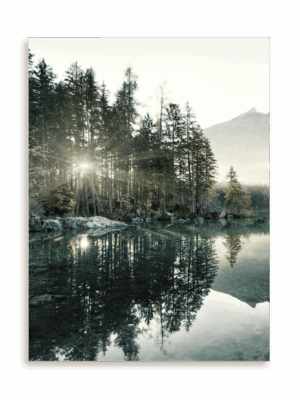 Plakat Magiczny las bez ramy