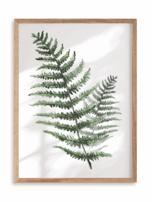 Plakat Paproć w ramie drewnianej