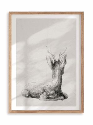 Plakat Jelonek zapatrzony w ramie drewnianej