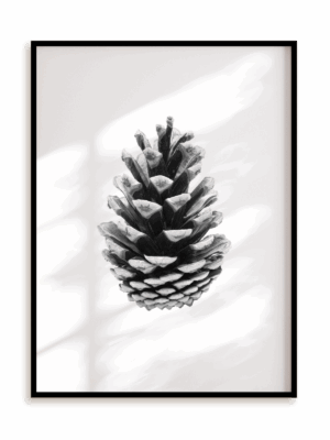 Plakat Szyszka w ramie aluminiowej